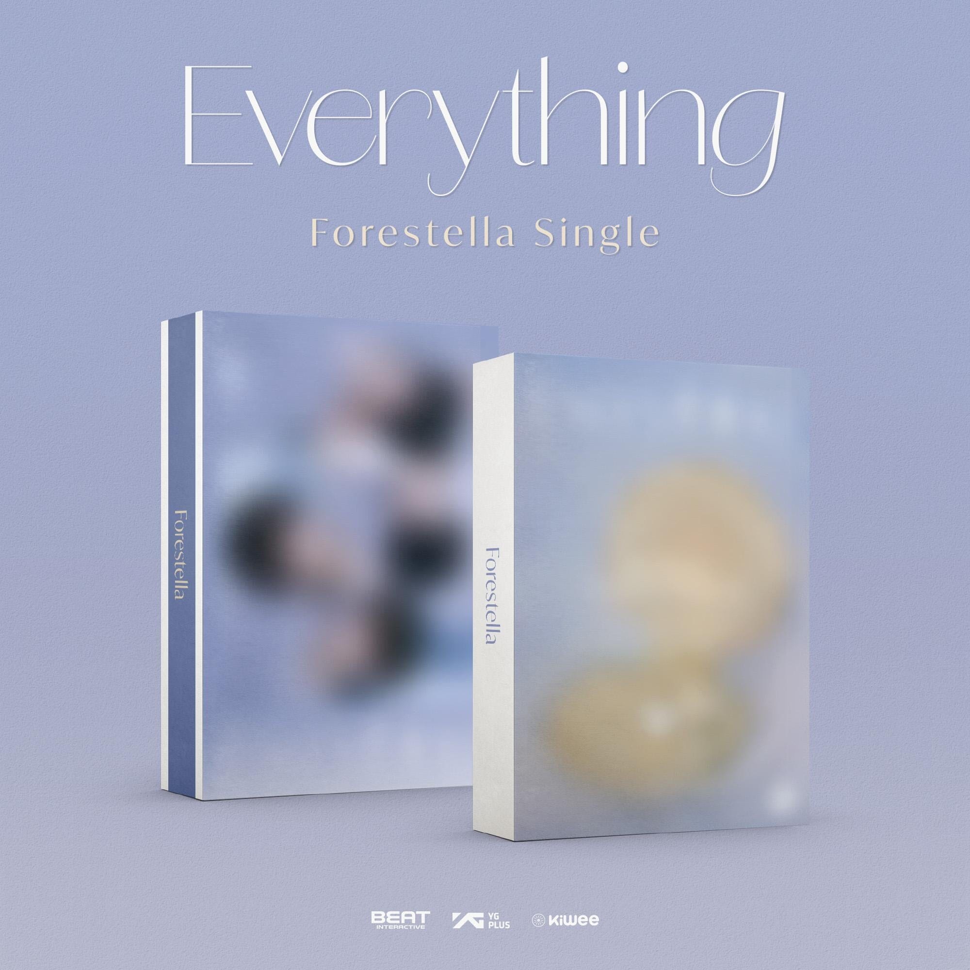 FORESTELLA - EVERYTHING Nolae