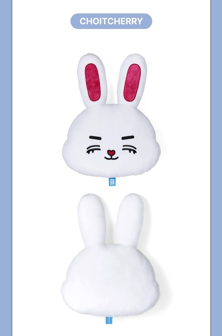 SEVENTEEN - 'MINITEEN' MD