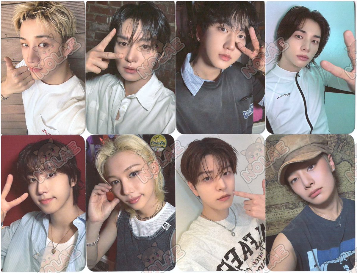 STRAY KIDS - THIS & THAT - DEAR MY MUSE PHOTOCARD