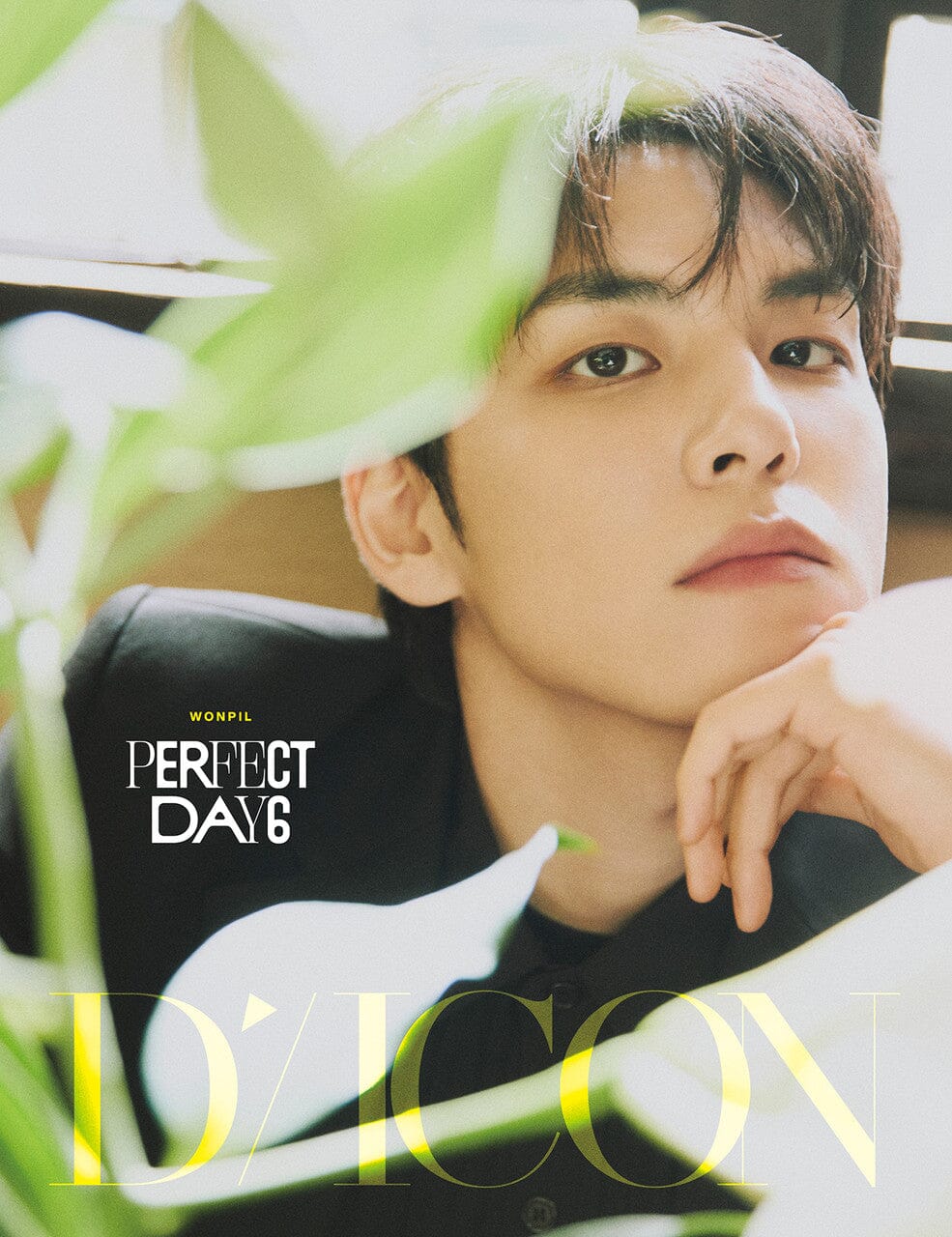 DAY 6 - DICON : PERFECT DAY6 (VOLUME N°27) Nolae