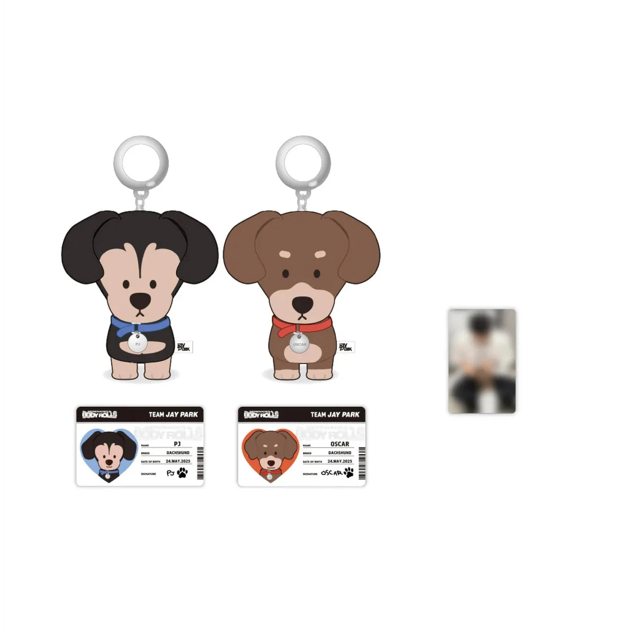 JAY PARK - 10CM DOLL (2025 WORLD TOUR 'SERENADES & BODY ROLLS IN SEOUL' OFFICIAL MD) Nolae