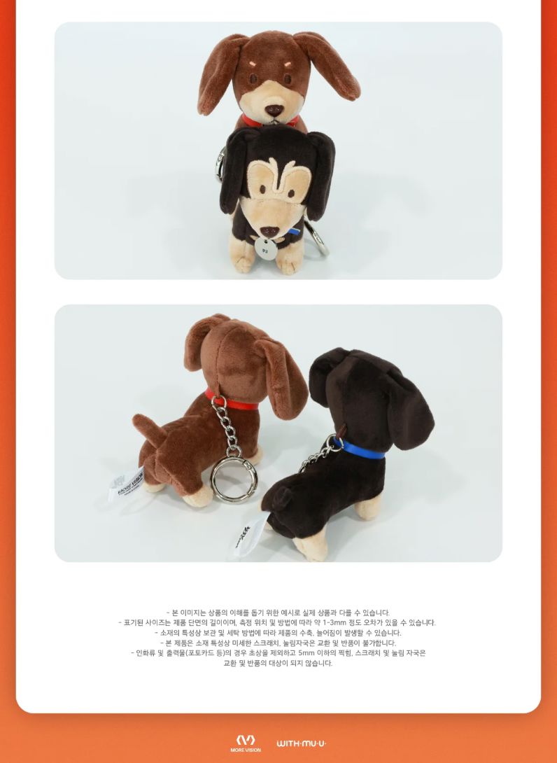 JAY PARK - 10CM DOLL (2025 WORLD TOUR 'SERENADES & BODY ROLLS IN SEOUL' OFFICIAL MD) Nolae