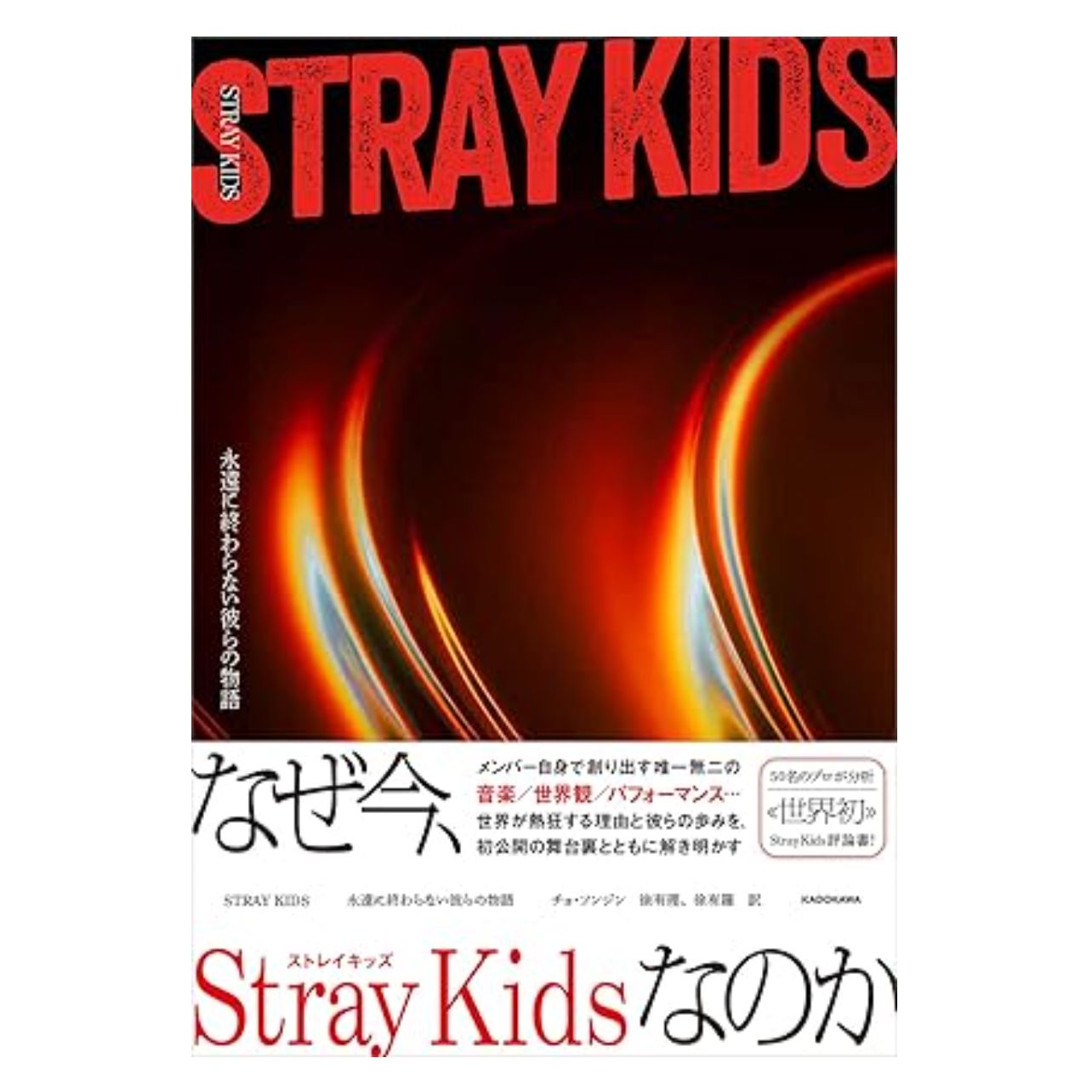 STRAY KIDS - THEIR STORY WILL NEVER END JAPAN (REVIEW BOOK) Nolae
