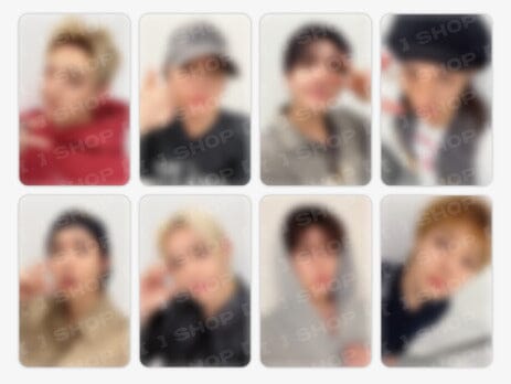 STRAY KIDS - THIS & THAT + FANS SHOP Lucky Draw Gift Nolae
