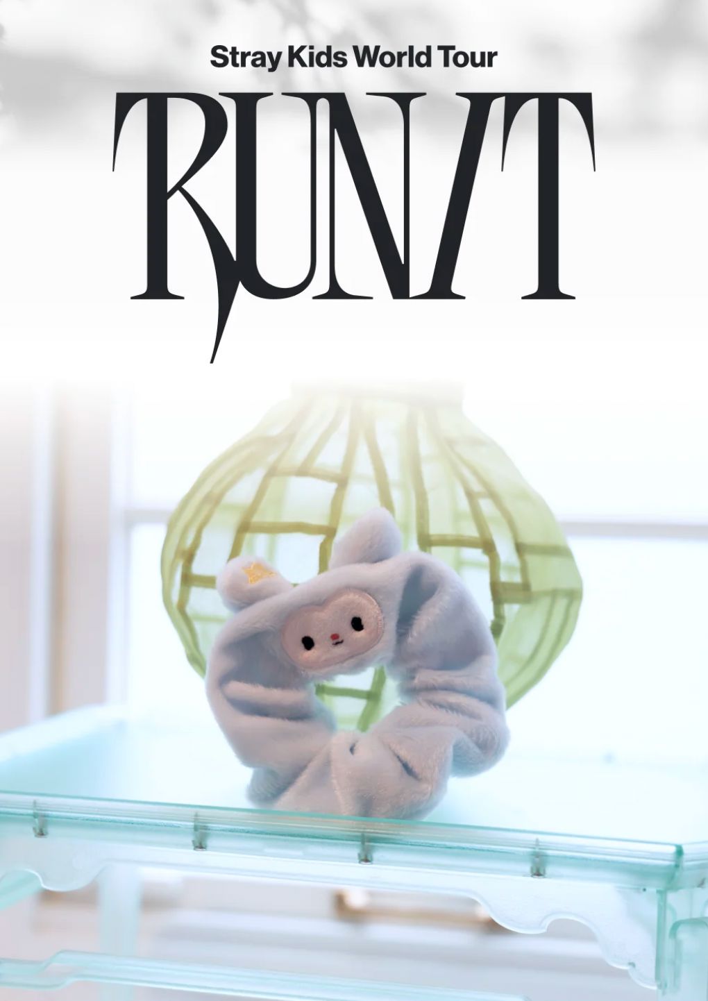 STRAY KIDS - WORLD TOUR 'RUN IT' MD 2 Nolae