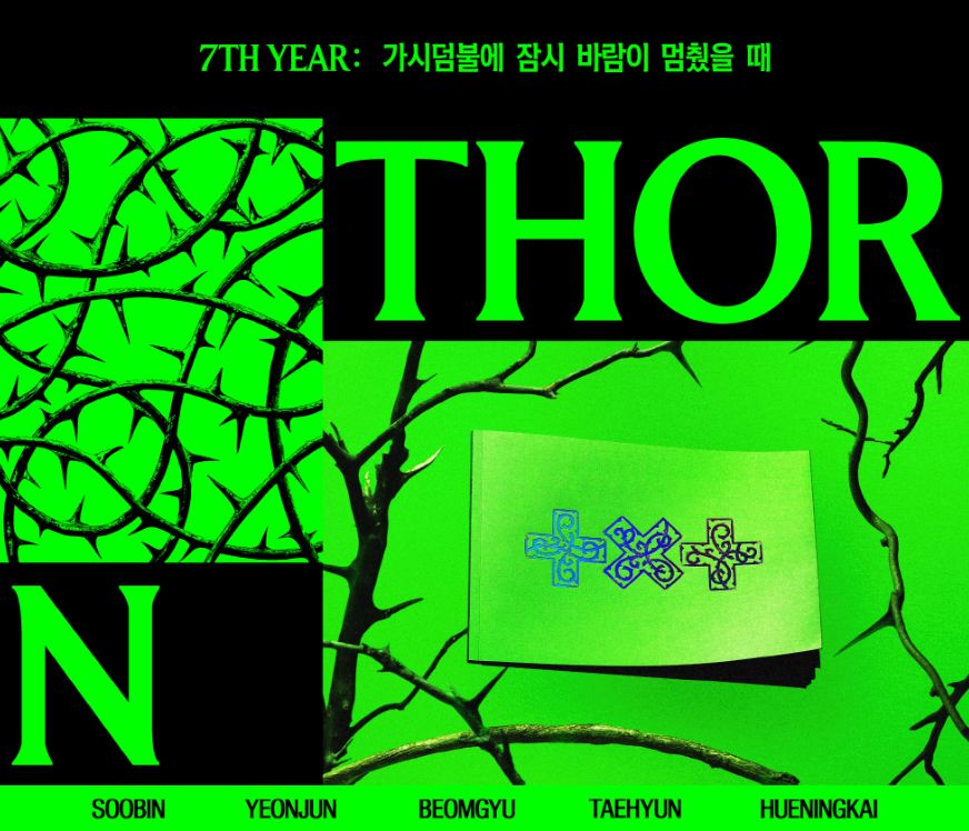 TXT - 7TH YEAR: WHEN THE WIND PAUSED AMONG THE THORNS (THORN VER.) + Makestar Gift Nolae