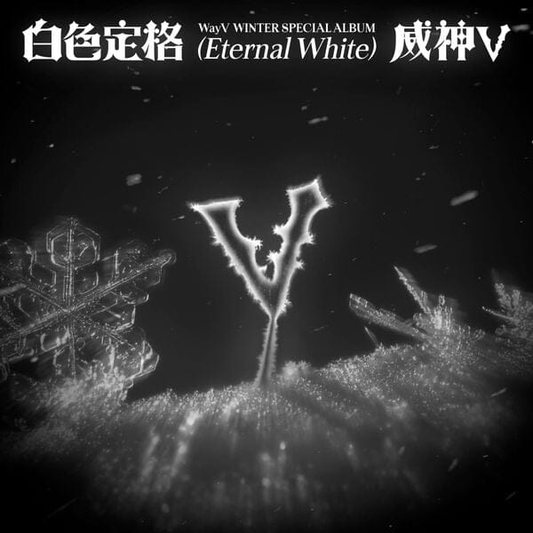 WayV - Winter Special Album [白色定格 (Eternal White)] (SMini Ver.) Nolae
